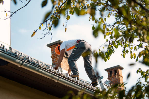 Sealant for Roof in Remington, IN
